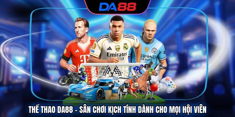 Sân chơi thể thao DA88 xanh chín và đầy hấp dẫn Sân chơi thể thao DA88 xanh chín và đầy hấp dẫn